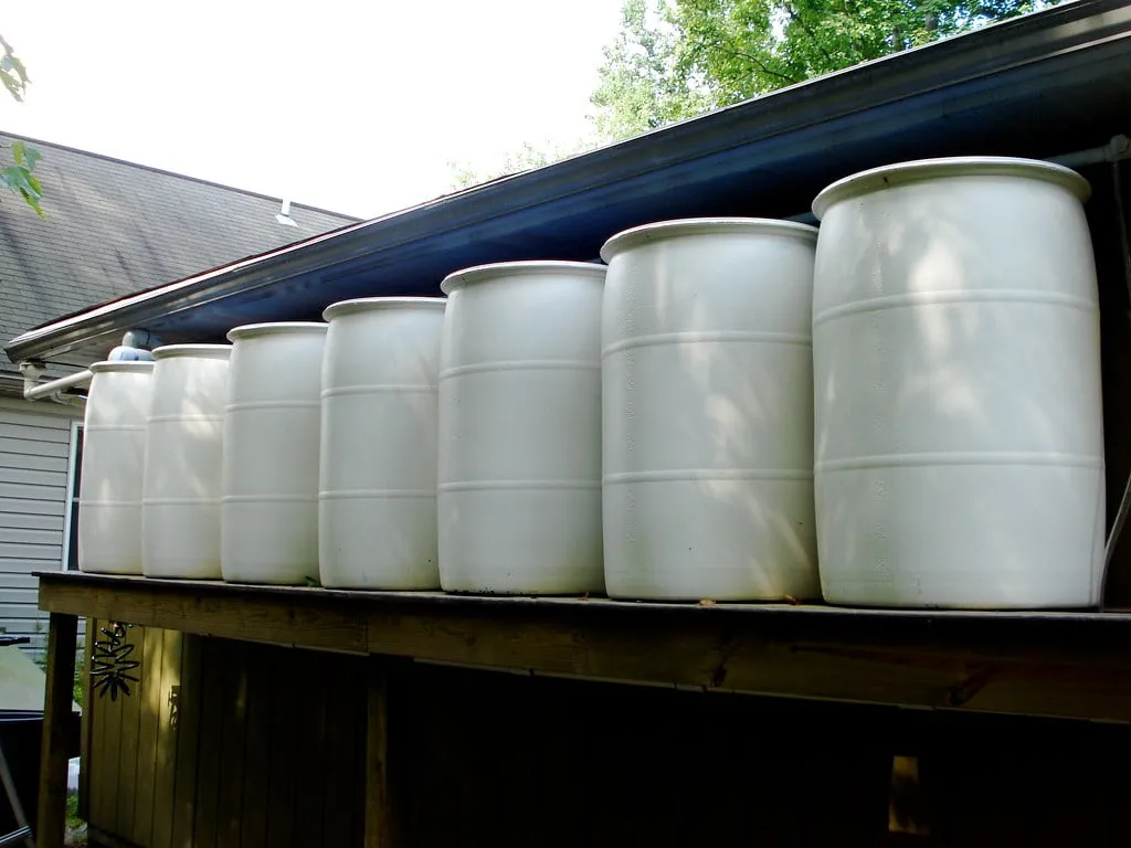 green living home improvement projects - rain capture