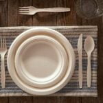 green products: Birchio Biodegradable Plates
