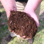 composting