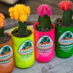 two green and orange plastic bottles. ideas to reduce waste