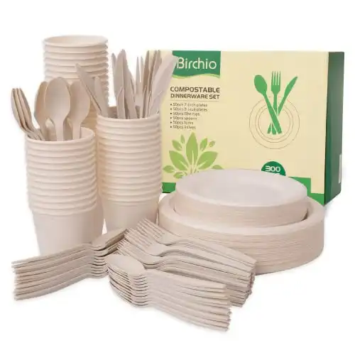 Biodegradable Paper Plates Set